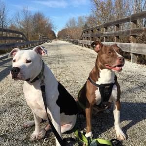 Meet your Posher, Tanya